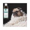 Bio Hundeshampoo - Sensibel